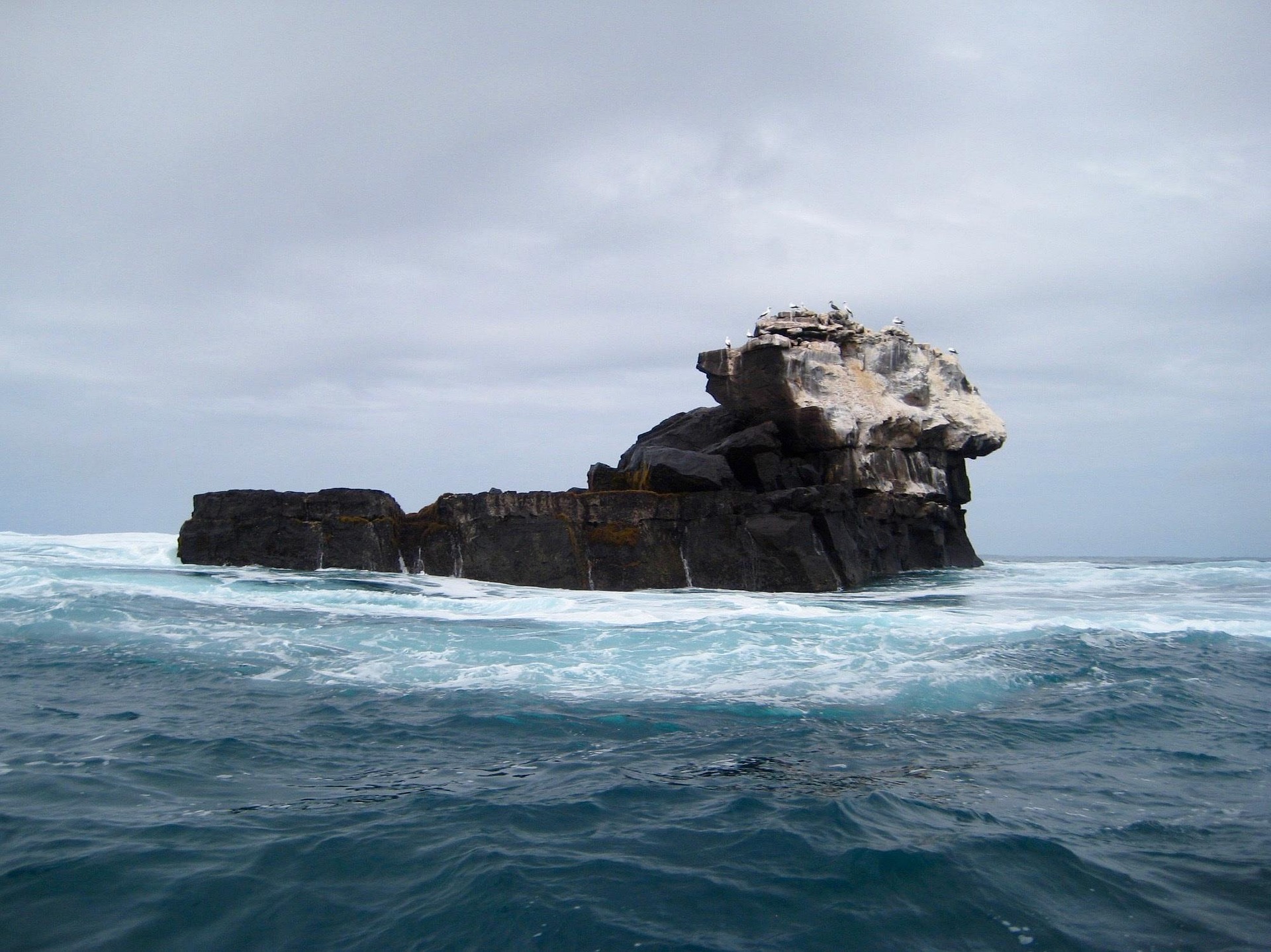Rochedo - Galápagos.jpg