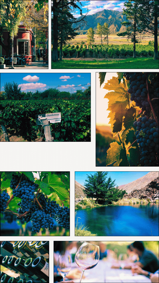 Colagem - Mendoza, Argentina.png