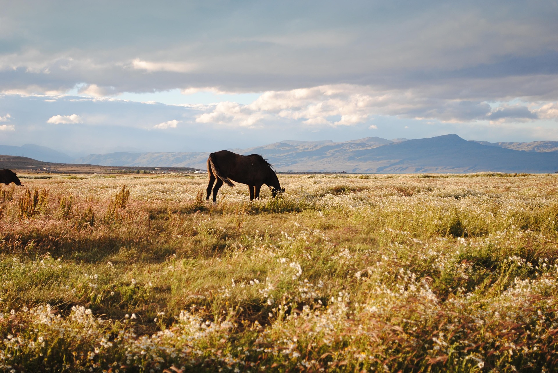 Paisagem - El Calafate.jpg