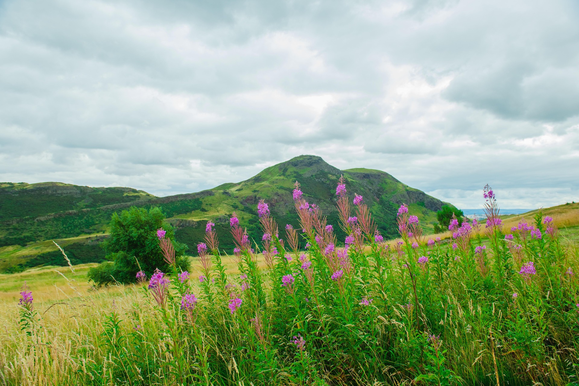 Holyrood Park.jpg