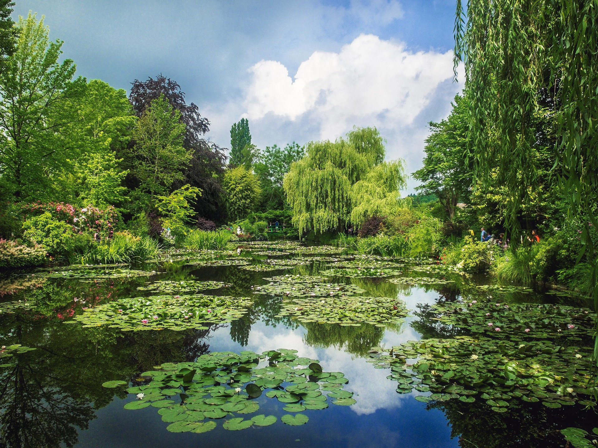 Jardins de Giverny.jpg