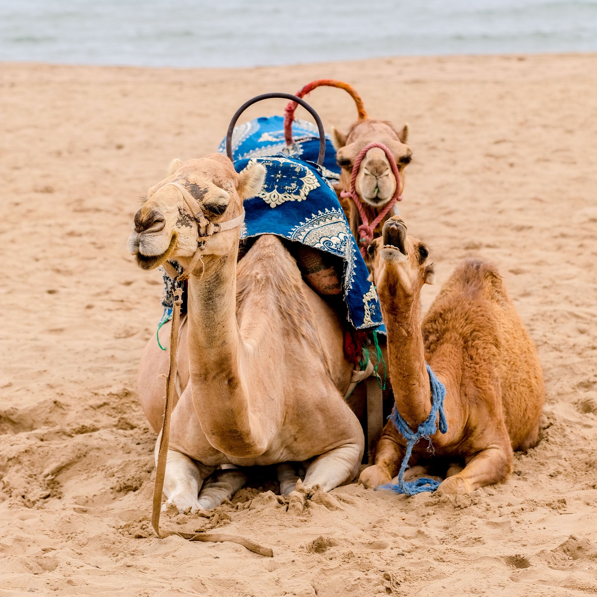 Deserto - Marrocos - 1.jpg