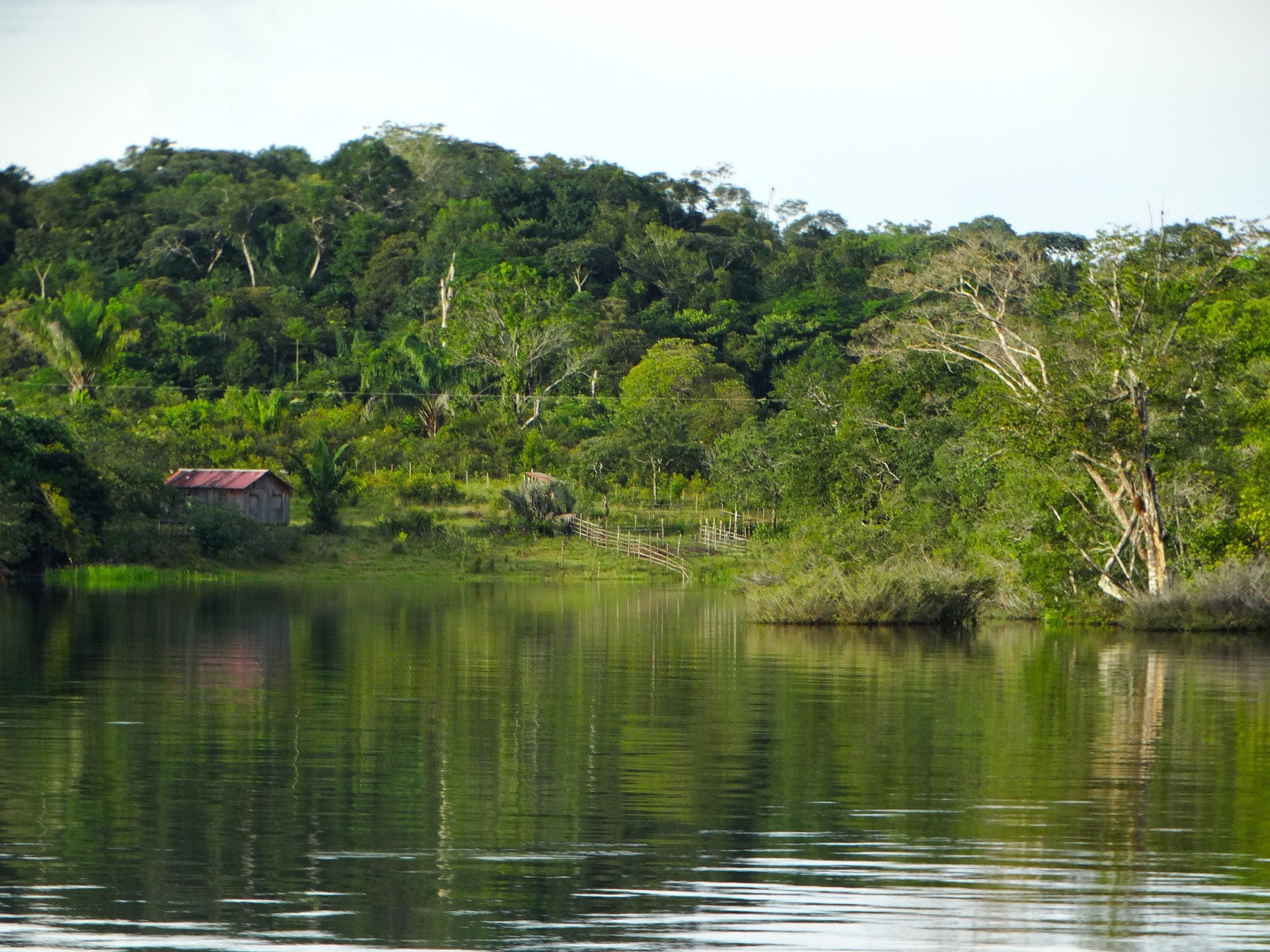 Amazônia Peruana - carrossel de imagens - 2.jpg
